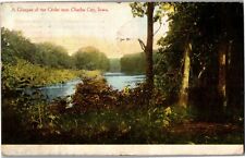View of the Cedar River Near Charles City IA c1919 Vintage Postcard F05 picture