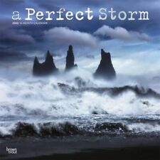A PERFECT STORM - 2023 WALL CALENDAR - BRAND NEW - 54944 picture