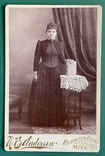 Antique Victorian Cabinet Card Photo Pretty Lady w/ Book Redwood Falls, Minn picture