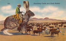 Punching Cattle On A Jack Rabbit Cows Exaggeration Linen Postcard picture