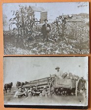 Real Photo Rppc Workers Eating Watermelon Wagon/Man Holding Pumpkin OOAK No Comp picture