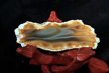 Indonesian Polished Timor Agate Pair picture