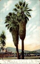 Twin Palms~owner note says Southern Pacific Railroad Station ~ location? ~ c1905 picture