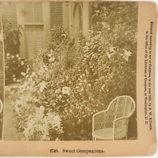 Garden Flowers Wicker Chair Stereoview c1891 Littleton New Hampshire Photo E962 picture