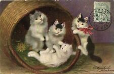 PC CPA CATS, FOUR CATS IN A BASKETBALL, Vintage Postcard (b27040) picture