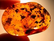 Group of 7 Flowers Menagerie in Dominican Amber Fossil Gemstone LARGE 19 grams picture