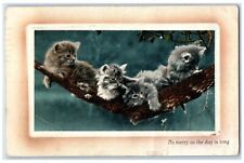 1910 Cute Kitten Hammock As Merry As The Day Is Long Vineland NJ Posted Postcard picture