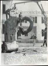 1965 Press Photo Tree surgeons cut down Fryeburg's famous 'doughnut tree' picture