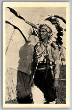 Postcard  Chippewa Indian in Northern Wisconsin,Cumberland   G 17 picture