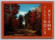 Autumn Colors In Illinois Vintage Unposted Postcard picture