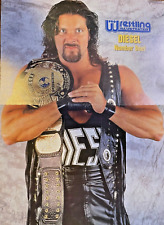 1995 Vintage Magazine Poster Pro Wrestler Diesel Kevin Scott Nash picture