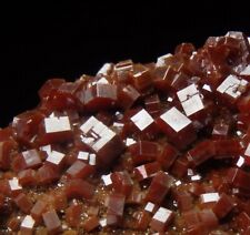 VANADINITE beautiful well formed crystals  MOROCCO Mibladen /pi030 picture