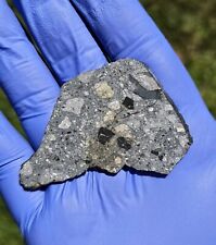 Meteorite**NWA Provisional, NEW EUCRITE**17.219 gram, W/Carbonaceous Inclusions picture