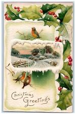 c1910's Christmas Greetings Song Birds Holly Berries Winter Embossed Postcard picture