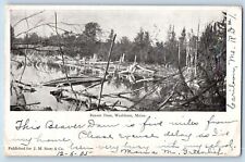 Washburn Maine ME Postcard Beaver Dam Lumbers Logs 1905 Vintage Antique Posted picture