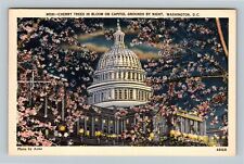 Cherry Trees In Bloom On Capitol Grounds By Night Washington DC Vintage Postcard picture