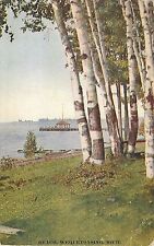1920 The Beach, Wequetonsing, Michigan Postcard picture