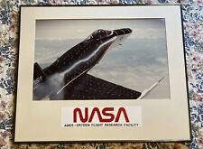 NASA Ames-Dryden Flight Research Facility / FA-18A (1996) Picture Framed 22 x 25 picture