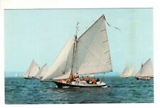 Friendship Sloops  Maine Vintage Postcard picture