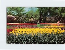 Postcard Tulips and Lilacs Lilacia Park Lombard Illinois USA picture