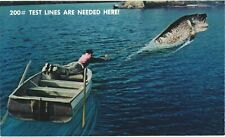 Man Catching A Huge Fish, Test Lines Are Needed Here Postcard picture