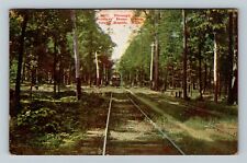 Grand Rapids MI Train/Trolley Soldier Home Woods Michigan c1909 Vintage Postcard picture
