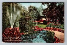 South Pasadena CA-California Lily Ponds Rare Birds Ostrich Farm Vintage Postcard picture