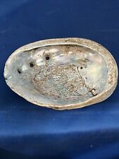 Vintage 8x6 Inch Abalone Shell  picture