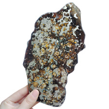 192.4g Brenham pallasite Meteorite slice - from USA TA105 picture