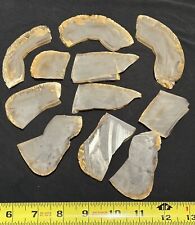 Montana Agate rock slabs (11) lapidary cabbing rough picture