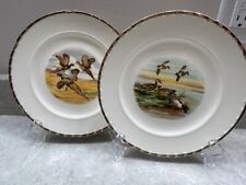 2 Very SPECIAL, Crooksville, USA, Fowl Hunting 9' Gold Rim Plates picture