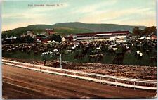VINTAGE POSTCARD THE FAIR GROUNDS AND HORSES AT HORNELL NEW YORK c. 1900 picture