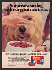 Gaines-Burgers Dog Food Surprise Your Dog 1980s Print Advertisement Ad 1981 picture