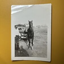 1950s African American Cowboy, Horse & Nice Car ORIGINAL vintage photo Dallas TX picture