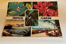 Tropical Florida Vintage Postcard  picture