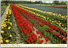 Postcard - Stunning Tulip Farms at Holland, Michigan A194 picture
