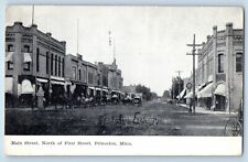 Princeton Minnesota Postcard Main Street North First Street Buildings Road 1908 picture