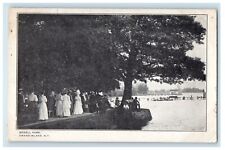 c1910's View Of Bedell Park Grand Island New York NY Unposted Antique Postcard picture