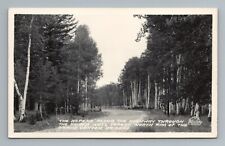 Aspens Highway Kaibab National Forest Grand Canyon AZ RPPC Vintage Postcard picture
