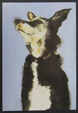 Dog Titled Molly by Sally Muir Art Postcard Unposted Unused picture