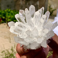 315G New find white phantom quartz crystal cluster mineral sample picture