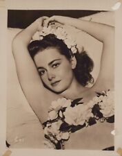 Olivia de Havilland (1940s) 🎬⭐ Original Vintage - Stylish Glamorous Photo K 283 picture