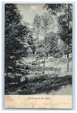 1907 A Scene In The Park Ardmore Pennsylvania PA Posted Antique Postcard picture