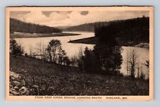 Oakland MD-Maryland, From Deep Creek Bridge, Looking South, Vintage Postcard picture