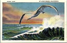 c1920 LONG BEACH CALIFORNIA STORMY SURF SEAGULL IN FLIGHT POSTCARD 42-127 picture