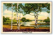 1939 River And Trees View Of Ludington Michigan MI Posted Vintage Postcard picture