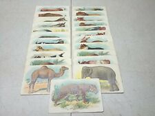 Raphael Tuck And Sons Animal Identification Cards Vintage Set Of 23 Saxony  picture