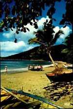 CE0738 guadeloupe back from fishing boats caribbean sea french anttilles palms picture