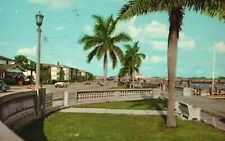Tampa FL-Florida, 1969 Palm Bordered Bayshore Dr Entrance Davis Island Postcard picture