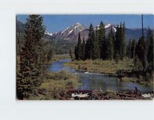 Postcard Crystal clear streams and rivers from the slopes of the Rocky Mountains picture